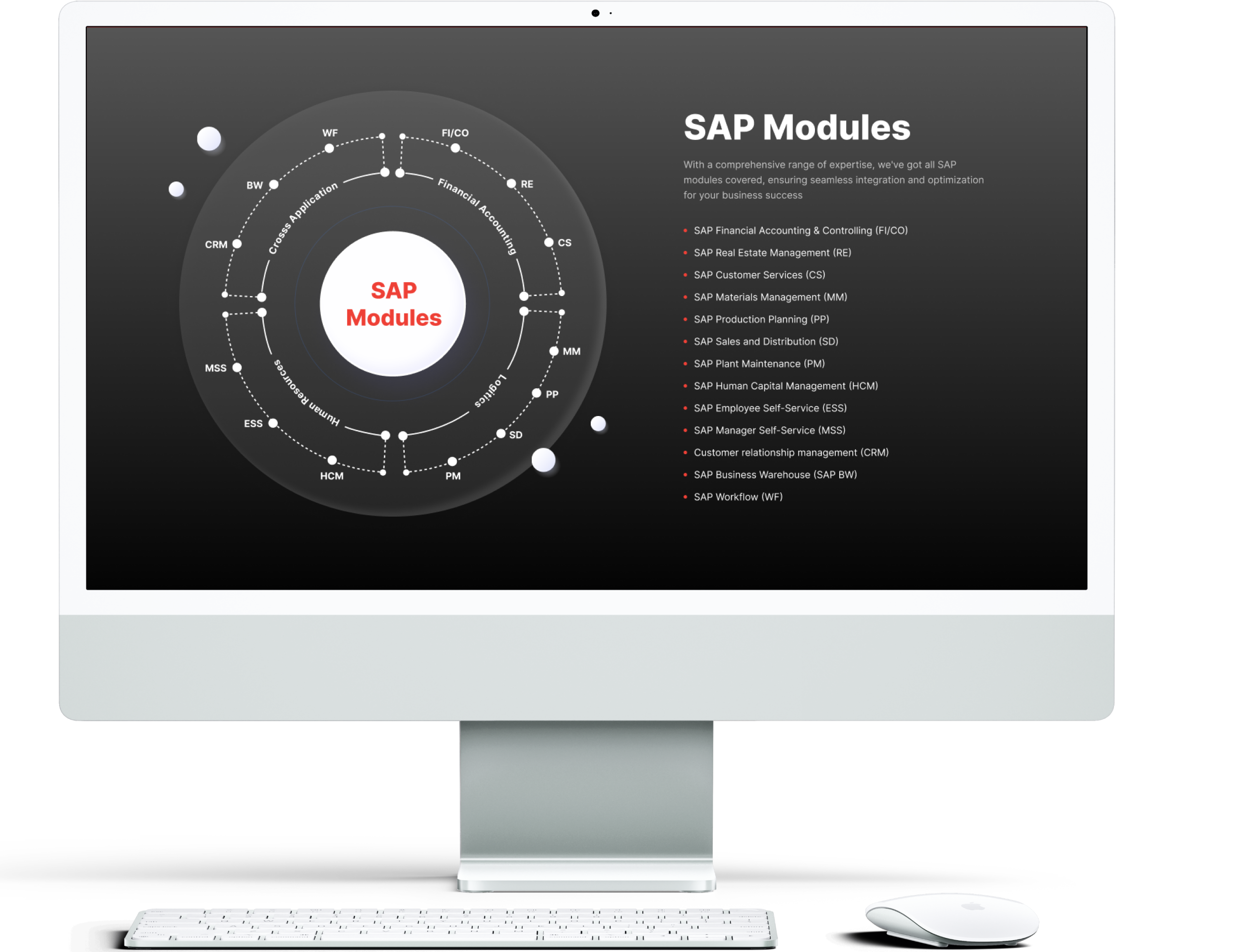 SAP modules