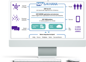 SAP Implementation for AUSTDOOR