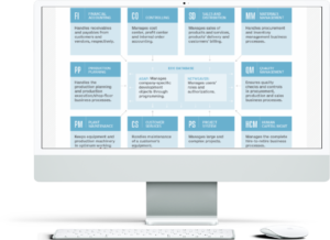 SAP Implementation for PINACO