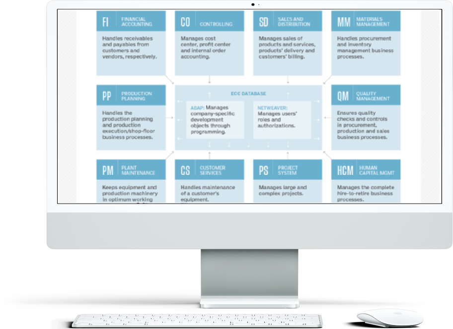 SAP Implementation for PINACO